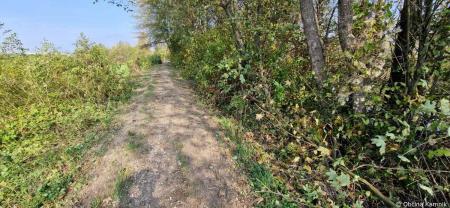 Sečnja drevja in vegetacije ob Kamniški Bistrici v naselju Šmarca in Nožice (1)